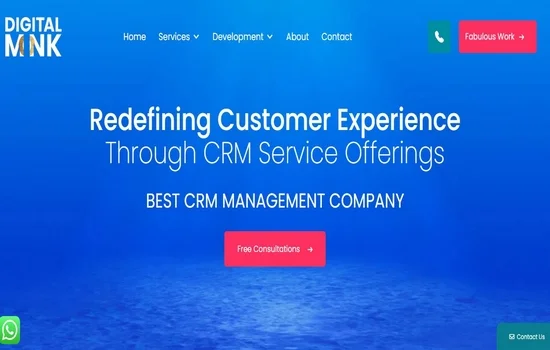 Digital Monk Marketing CRM Services