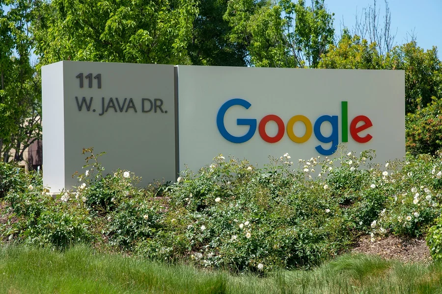 Google company logo on a wall with plants around it