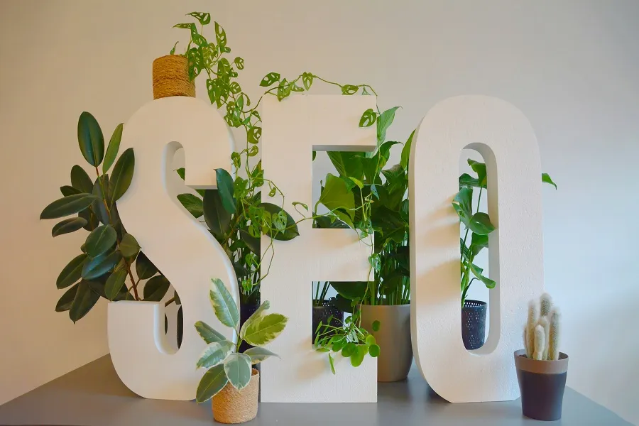 SEO words placed between different types of planters